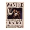 Wanted Kaido Search Notice OMN1111 30 x 21 cm Official ONE PIECE Merch